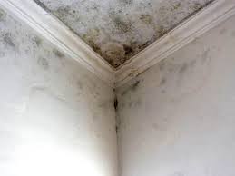 Best Mold Removal for HVAC Installations  in USA